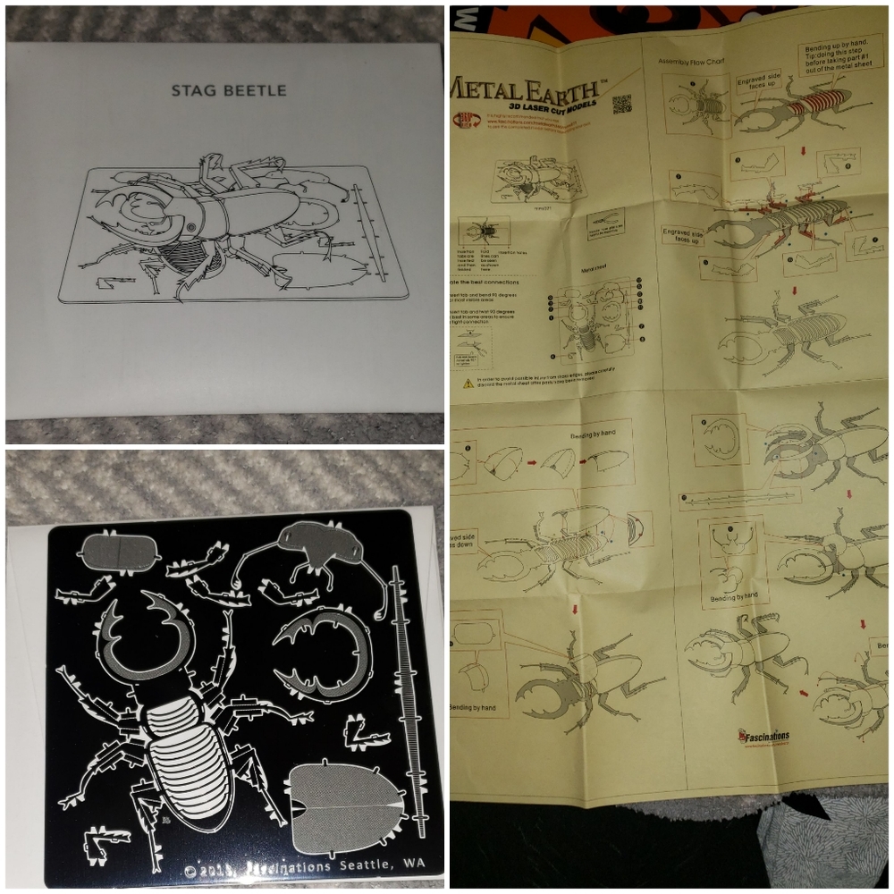 Metal Earth Insects
